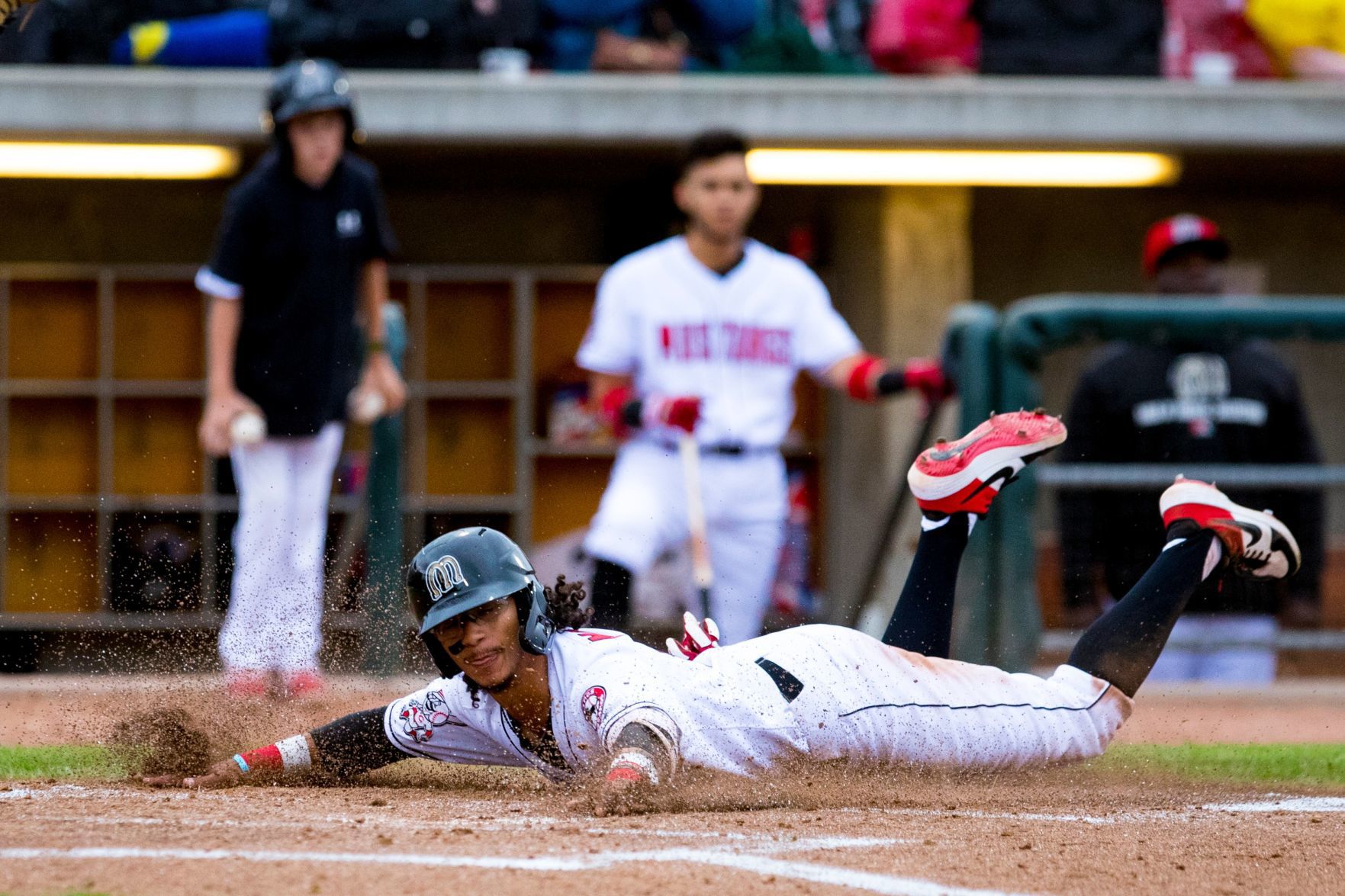 Mustangs vs. Chukars